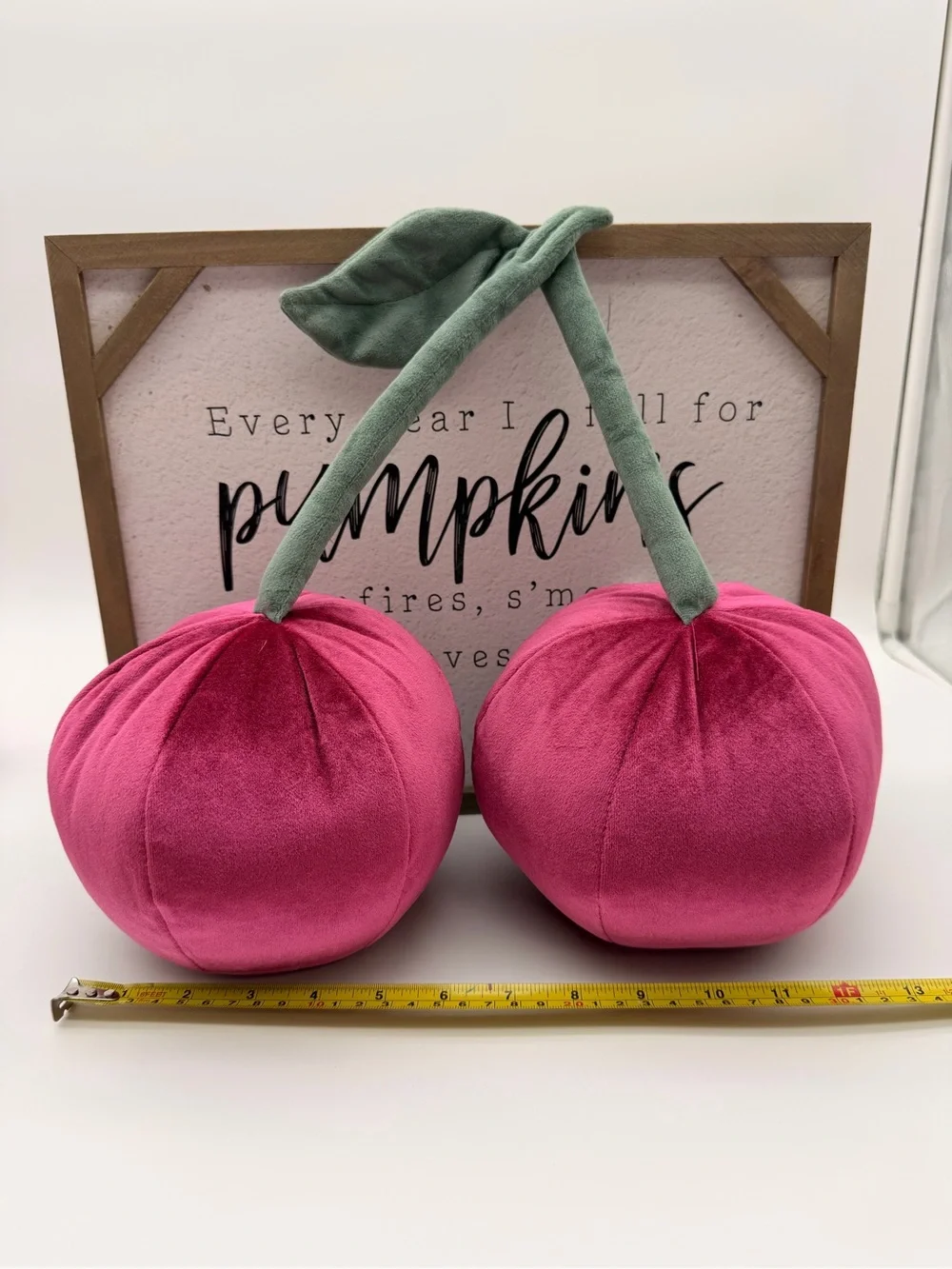 Target Velvet Pink Cherry Pillow Duo with Green Stem